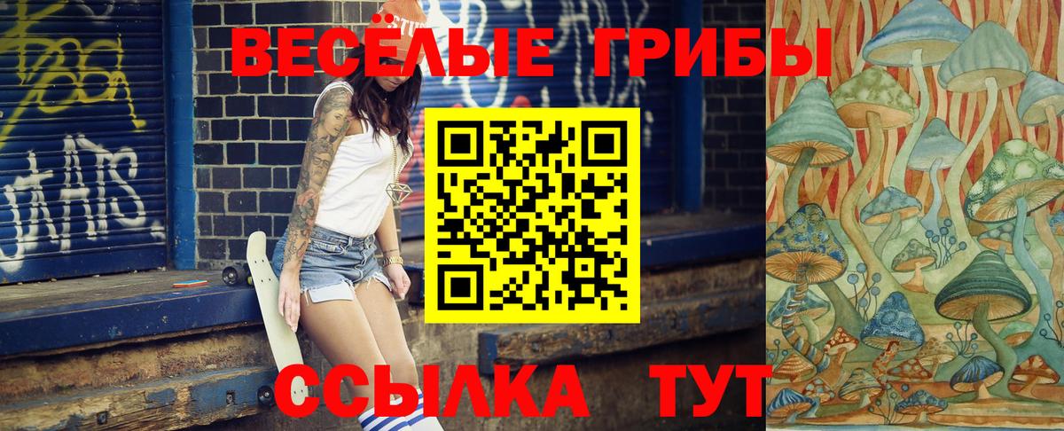 Псилоцибиновые грибы GOLDEN TEACHER  Вход с VPN  Майский 